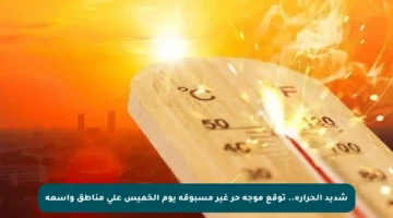 شديد الحرارة.. توقع موجة حر غير مسبوقة يوم الخميس على مناطق واسعة